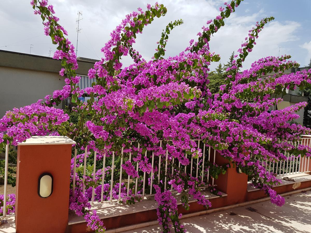 Dimora D'Amato Acomodação com café da manhã Grumo Appula Exterior foto